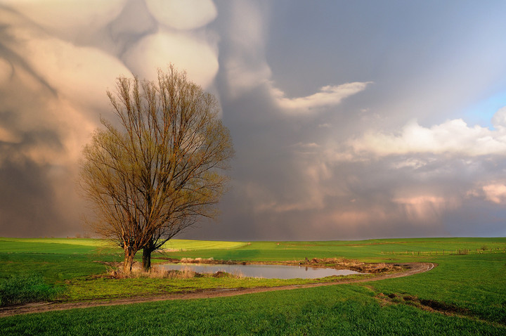 Mammatus piękne i rzadkie chmury po burzy w okolicach pochylni Kąty (Maj 2012)