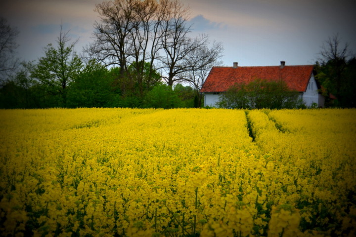 Okolice Elbląga