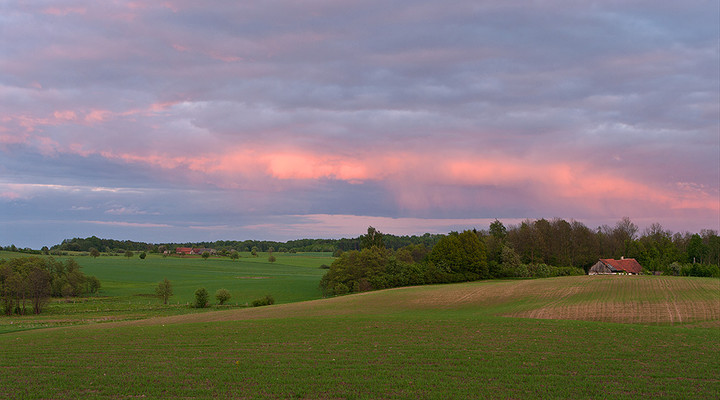 Ozimina (Maj 2012)