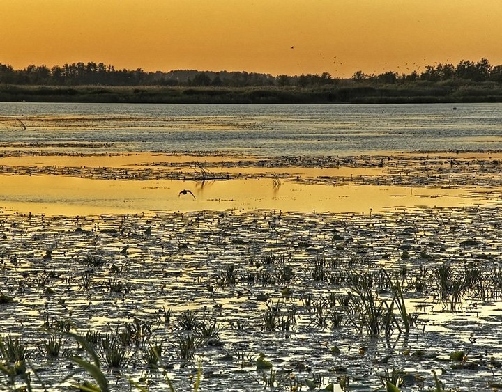 Drużno o zachodzie słońca. (Maj 2012)