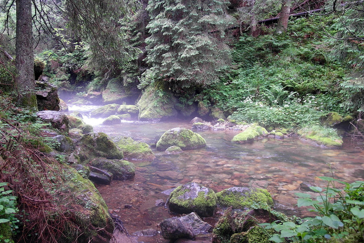 Dolina Kościeliska (Lipiec 2012)