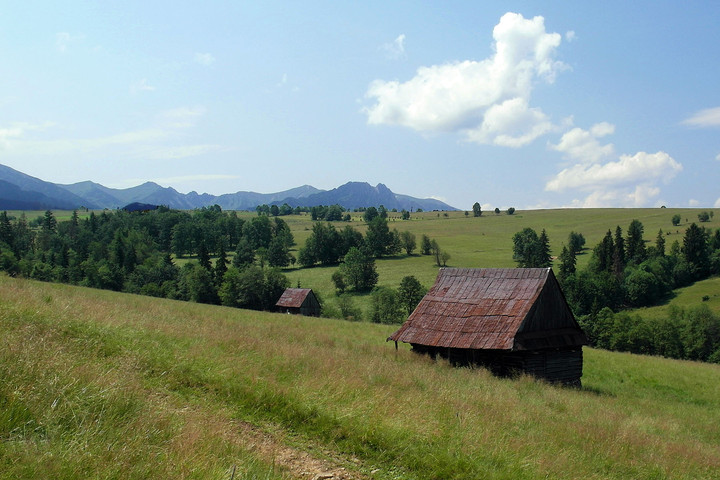 okolice Poronina (Lipiec 2012)