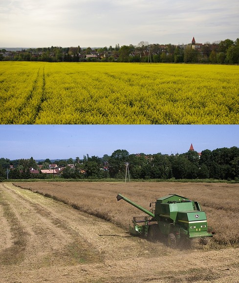 Ładnie było, ale się skończyło. (Lipiec 2012)