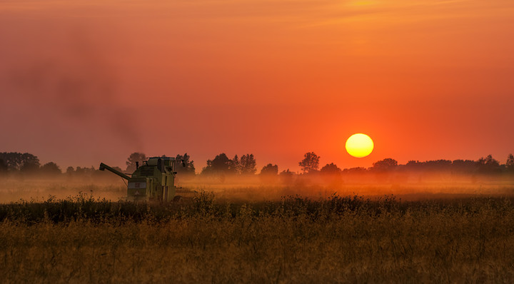 Żniwa - okolice Jegłownika (Sierpień 2012)