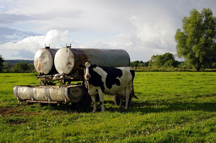 Ojejku, a ja taka bez makijażu  ... (Sierpień 2012)