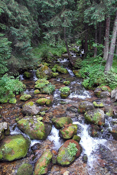 Dolina Kościeliska (Sierpień 2012)