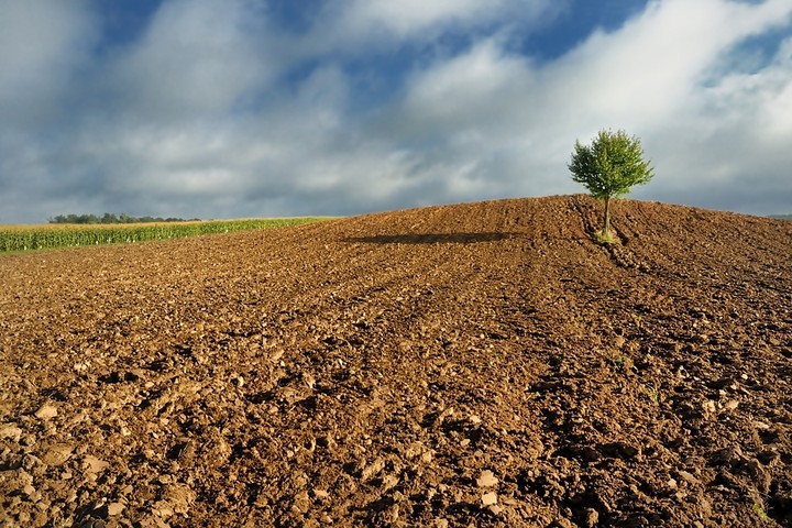 Nadchodzi jesień (Październik 2012)