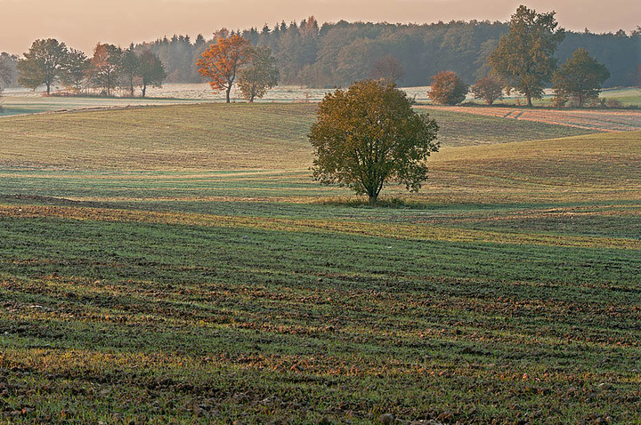 Na żółto i zielono (Październik 2012)