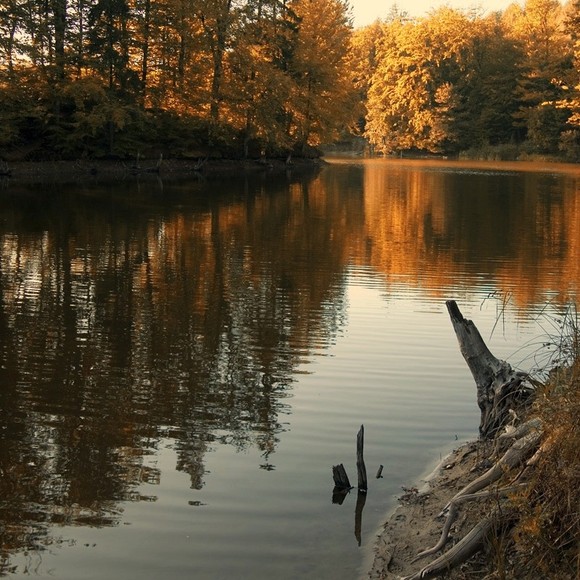 Jelenia Dolina. (Październik 2012)