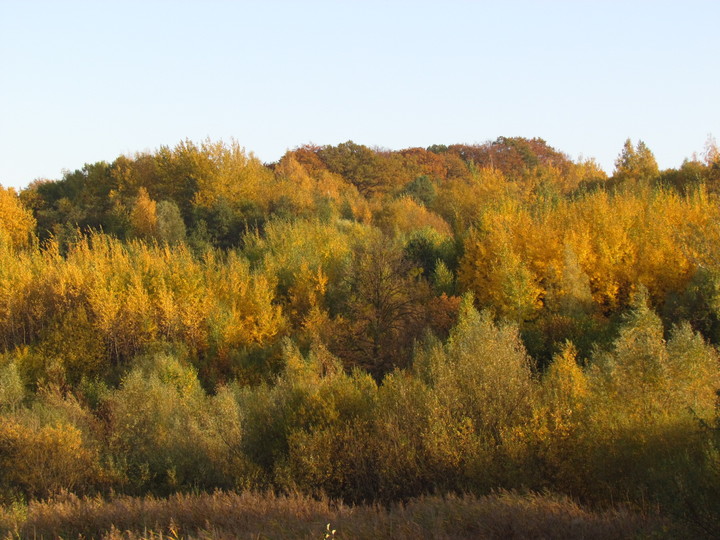 jesień na Wzgórzu Klepacza (Październik 2012)