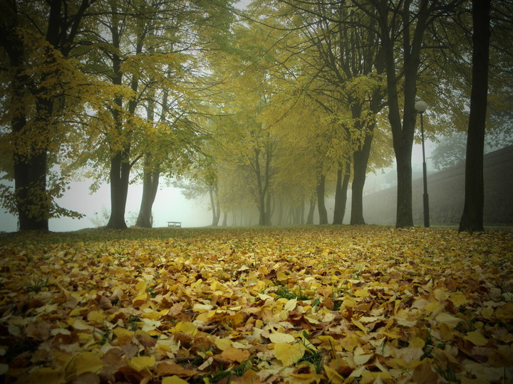 Malborska jesień (Październik 2012)