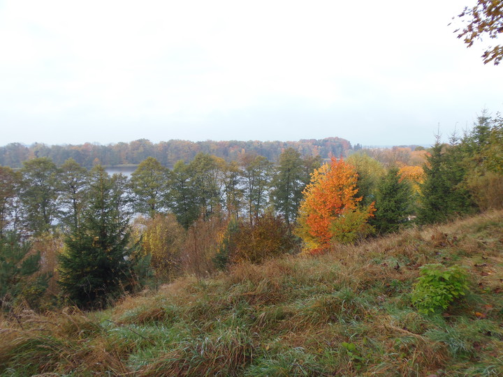 Jesień nad jeziorem Ruda Woda