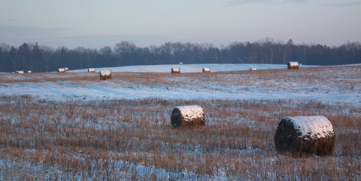 zimowe pole (Grudzień 2012)