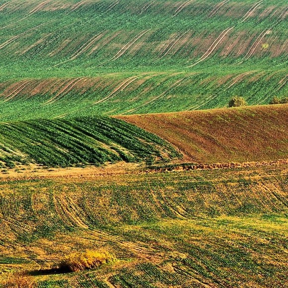 Okolice Dzierzgonia. (Grudzień 2012)