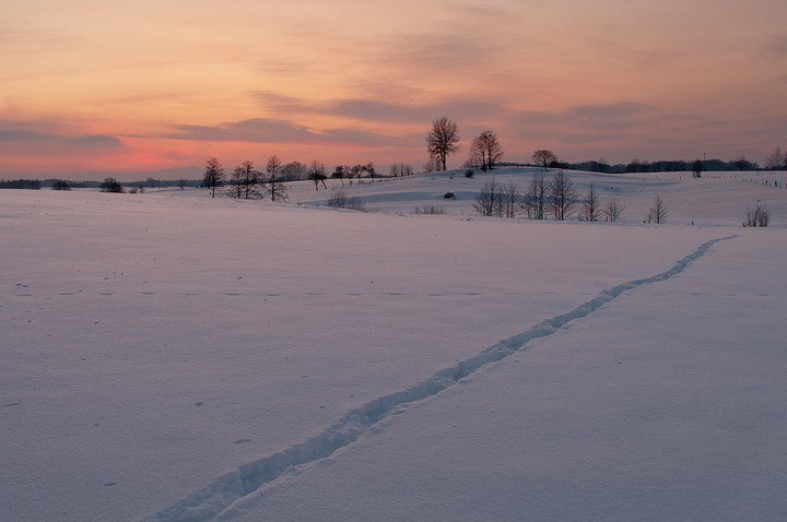 Ścieżka (Styczeń 2013)