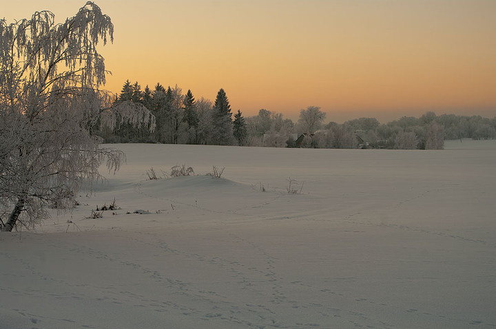 Ku nocy (Styczeń 2013)