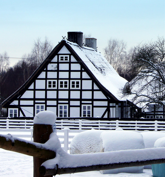 Leśniczówka Biała w śniegu. (Styczeń 2013)