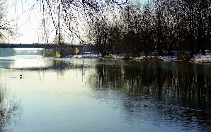 Rzeka Elbląg (Luty 2013)