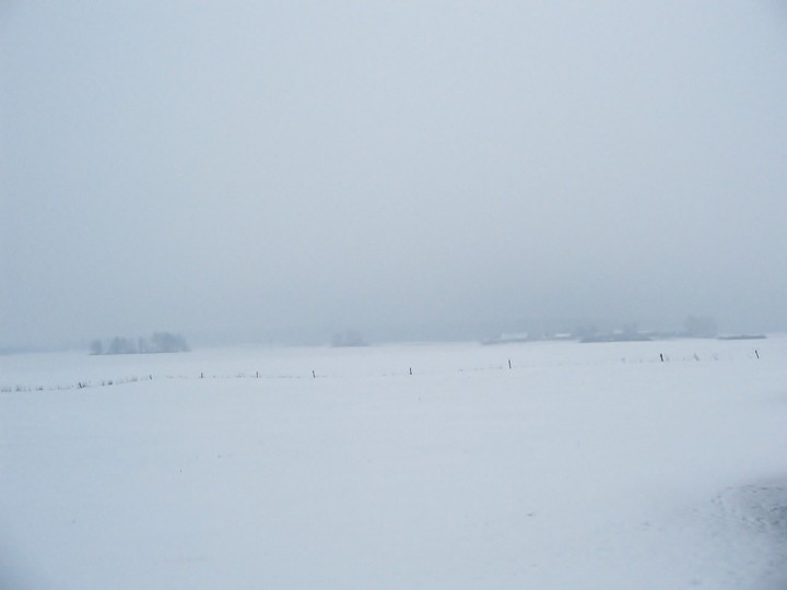 zima (Marzec 2013)