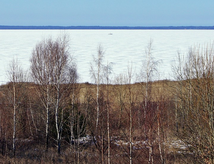 "Piotruś" (Kwiecień 2013)