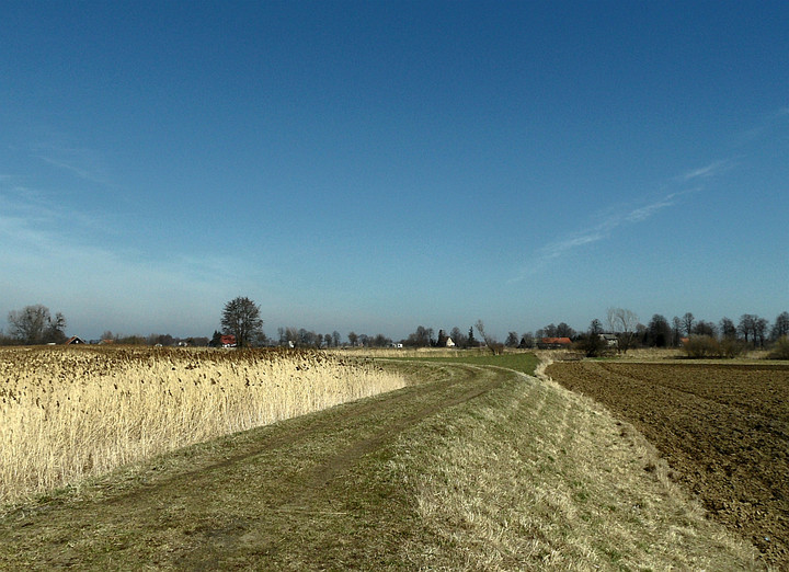 W kwietniowym słoneczku wreszcie. (Kwiecień 2013)