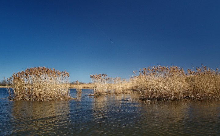 Przedwiośnie nad Nogatem (Kwiecień 2013)