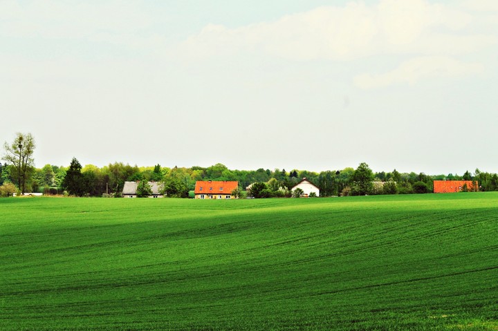 w zgodzie z naturą