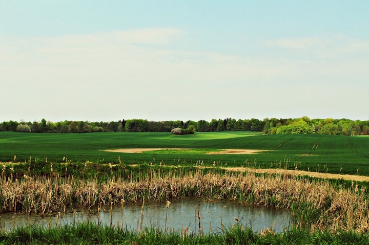 mały raj (Maj 2013)