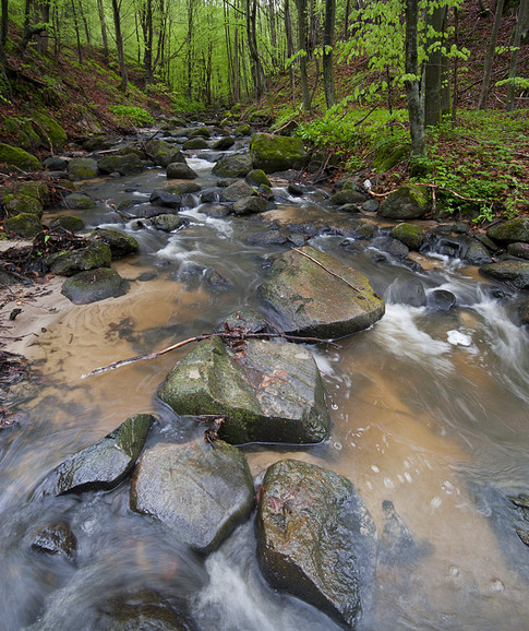 Grabianka (Maj 2013)