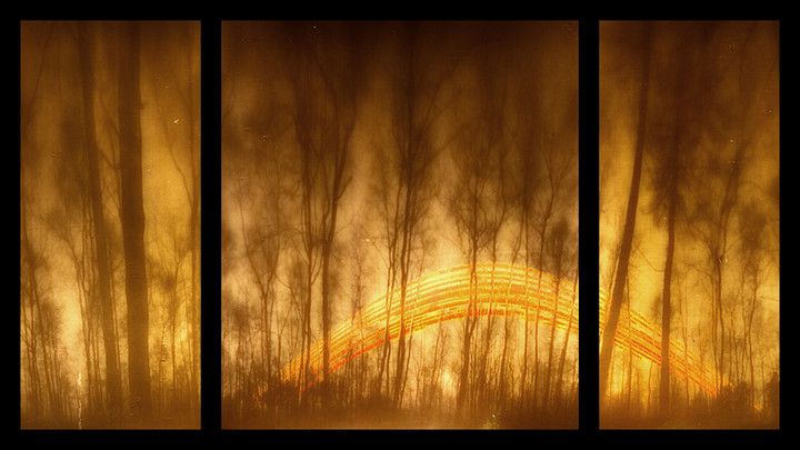 Solarny las. Miesiąc naświetlania papieru fotograficznego (boki Foma Multugrade, środek Rollei Vintage) techniką solarigrafii. Las w okolicach Świętego Kamienia. (Maj 2013)