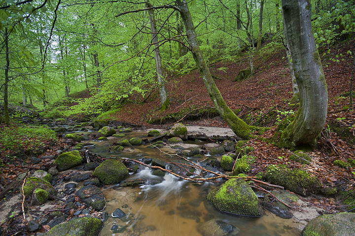 Grabianka II. Niedziela do słonecznych nie należała. (Maj 2013)