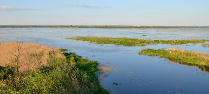 Drużno (Maj 2013)