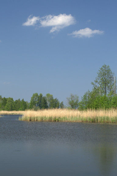 Jezioro (Maj 2013)