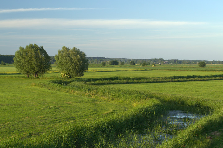 Ciasny kadr (Czerwiec 2013)