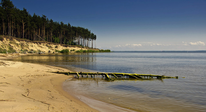 Zatoczka Dzikiej Róży (Czerwiec 2013)