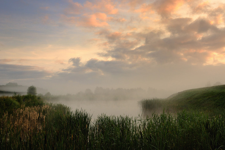 Wschód nad stawem