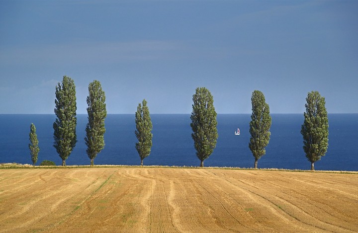 Letni powiew wiatru (Sierpień 2013)