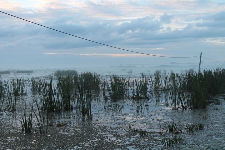 Poranek nad Drużnem (Wrzesień 2013)