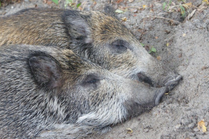 Romantycznie;) (Październik 2013)