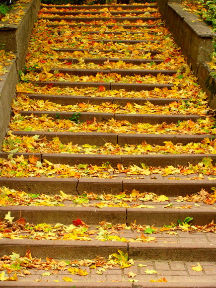 schody (Październik 2013)