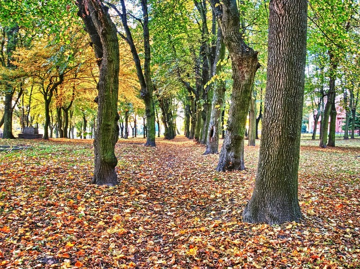 Pamiętajcie o cmentarzach. (Październik 2013)