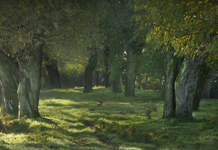 Okolice Nogatu (Październik 2013)