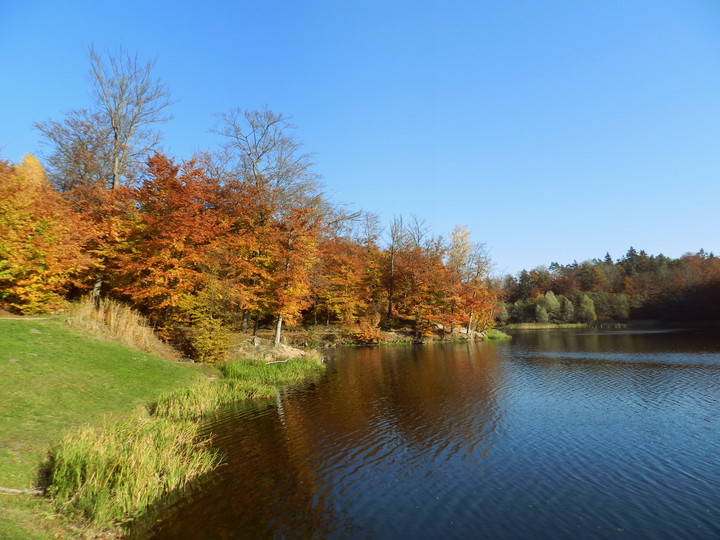 Jelenia Dolina (Październik 2013)