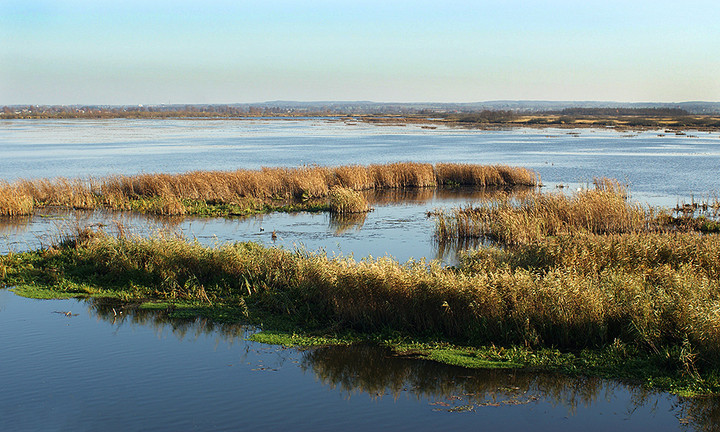 Jezioro Drużno (Listopad 2013)