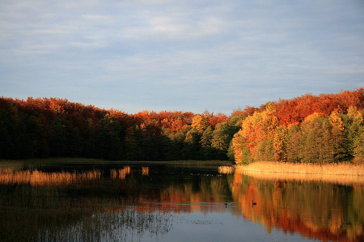 Elbląska jesień - Jelenia Dolina.