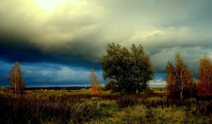 listopadowy pogodny dzeń