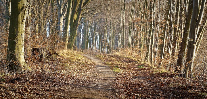 A jesień ciągle trwa (Styczeń 2014)