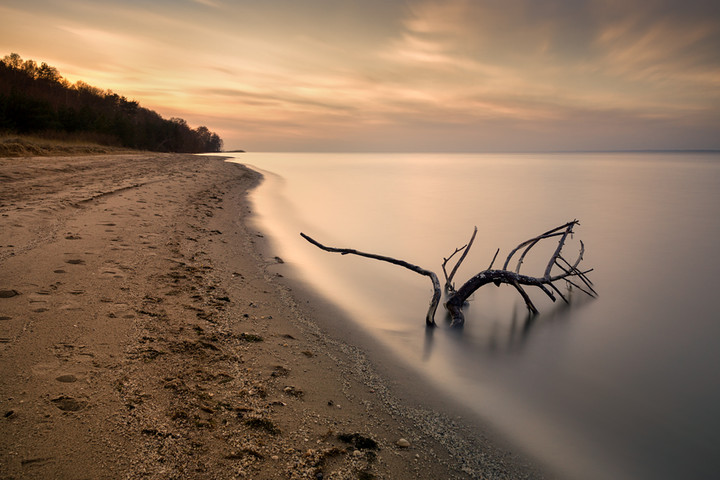 Ciepły zmierzch. Styczeń 2014