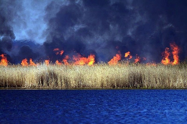 Jezioro Drużno 2010r.
Przyrodnicza Katastrofa