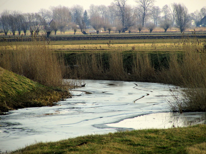 Żuławy- rzeka Tina wojuje z zimą (Luty 2014)